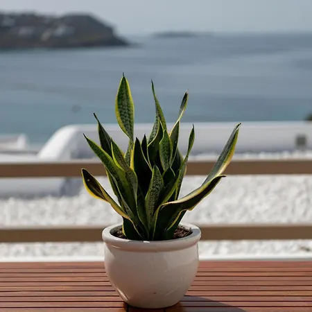 Lithos By Spyros & Flora 4* Agios Ioannis Diakoftis