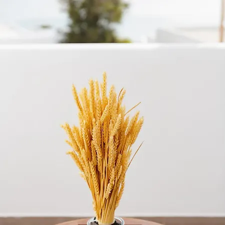 Lithos By Spyros & Flora 4*